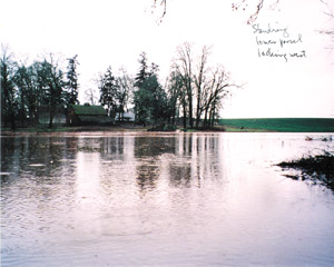 Flood photo 3